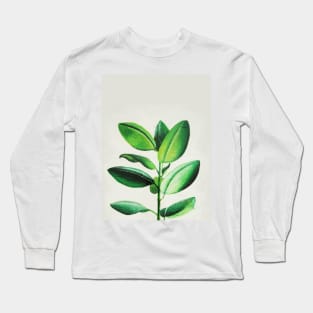 Ficus on White Long Sleeve T-Shirt